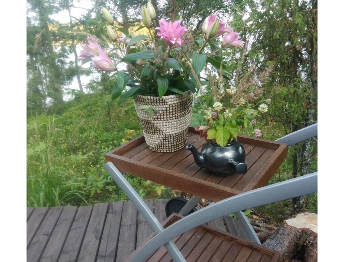 Дома для отпуска Holiday Home Sointukallio Савонлинна-41